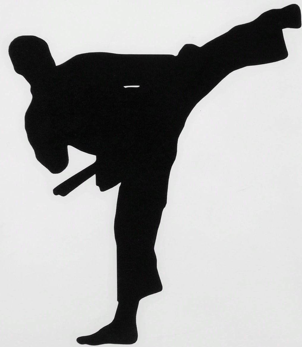 наклейка каратист 2